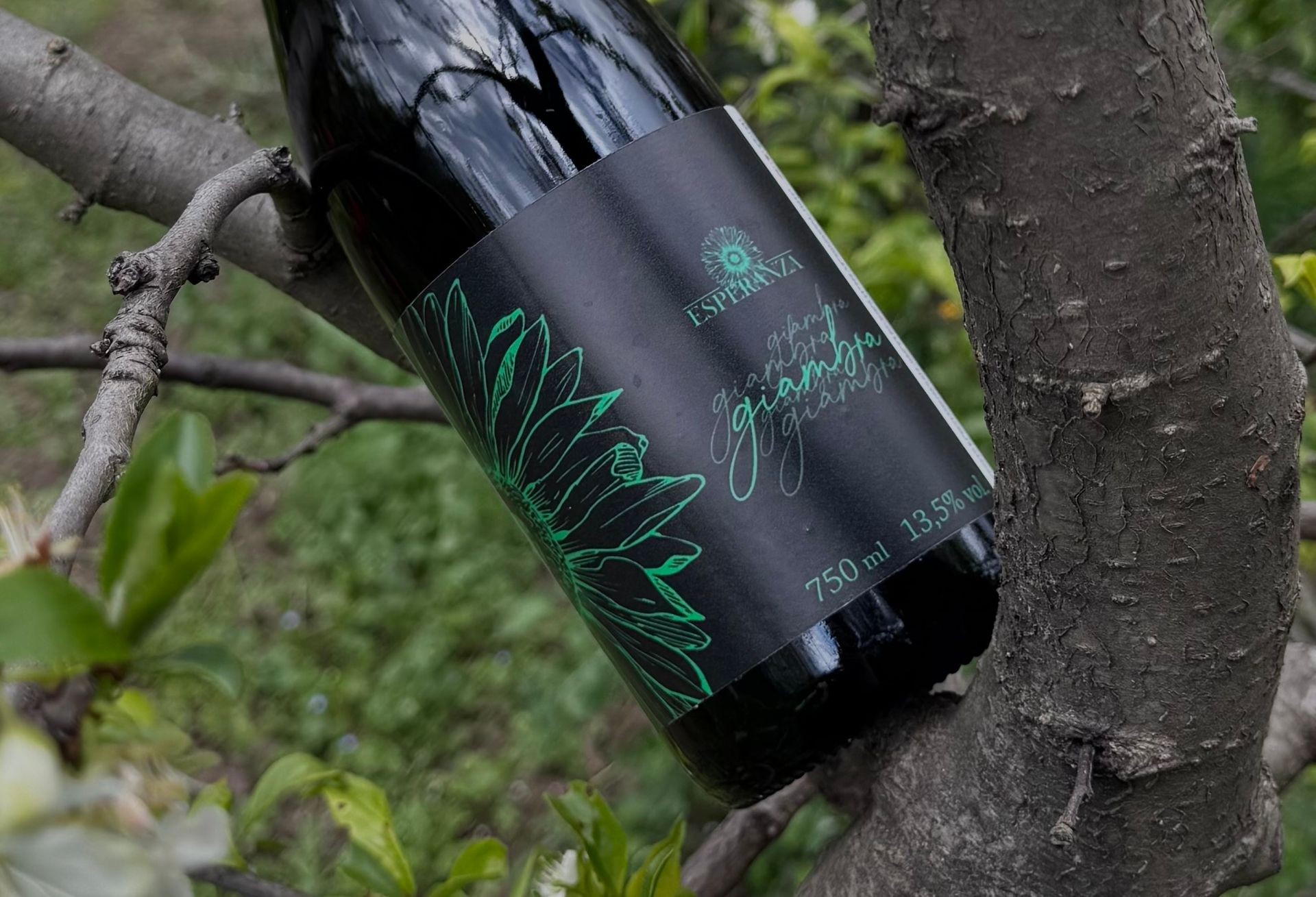 Giambra Verde -13,5%