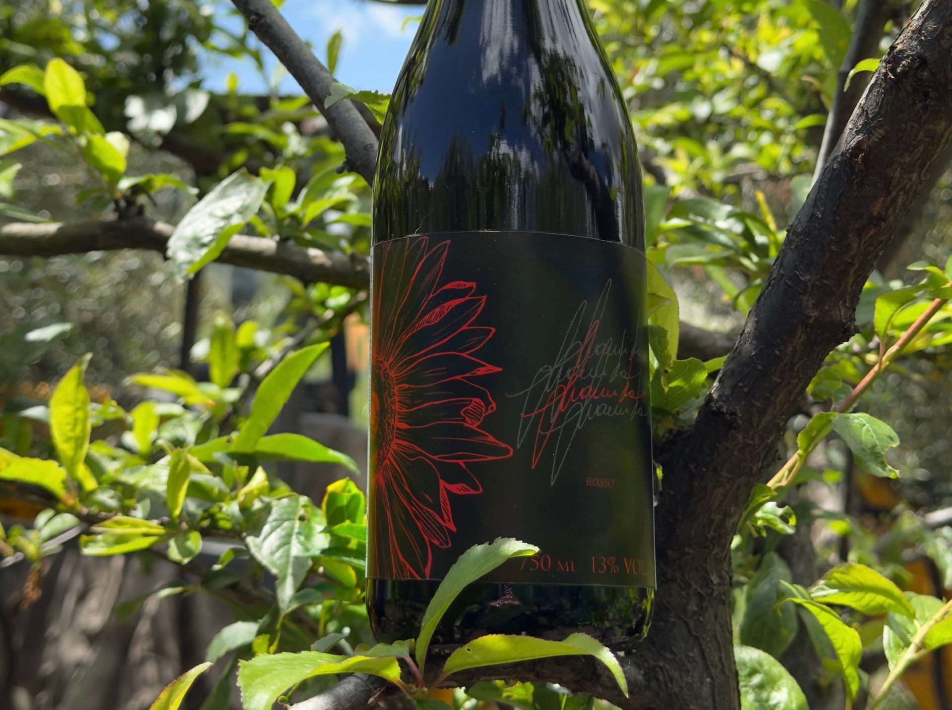 Giambra rosso  -13,5%