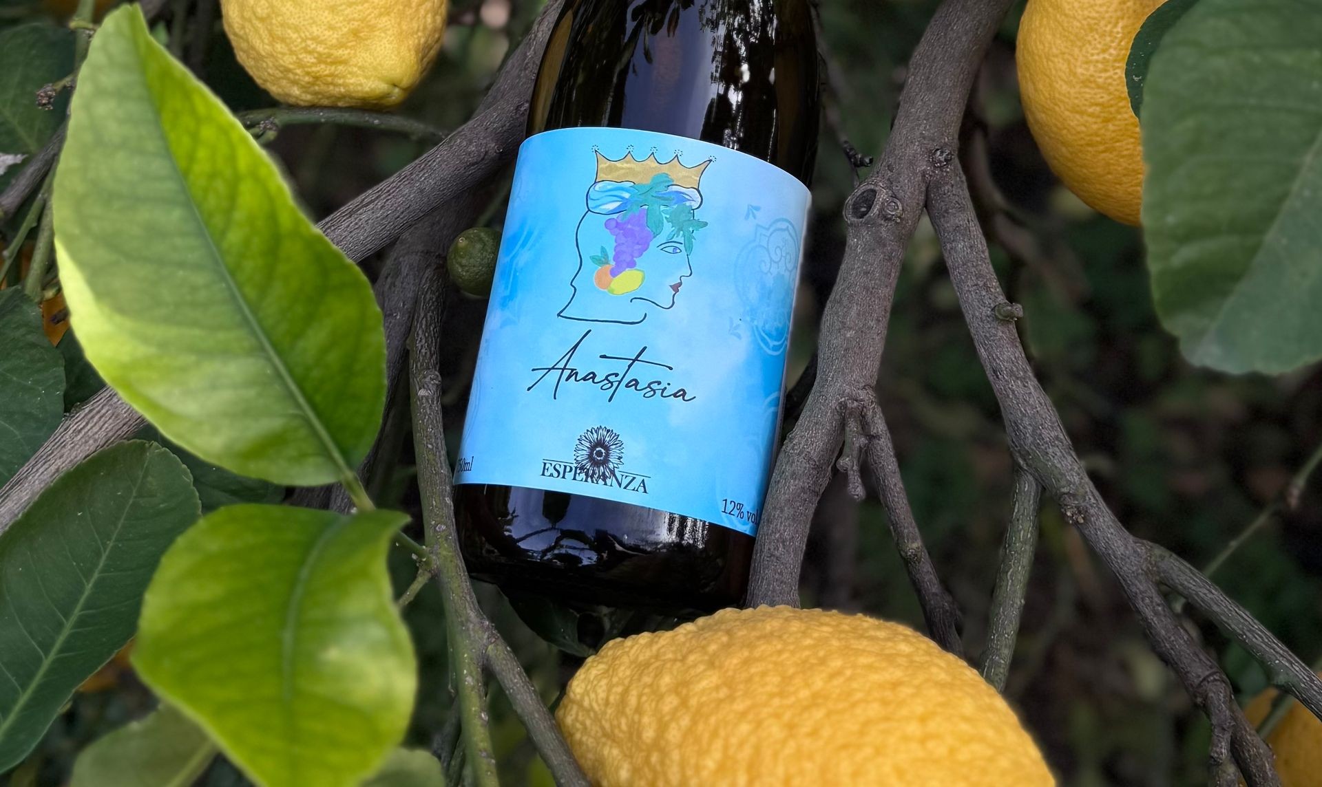 Anastasia -12%
